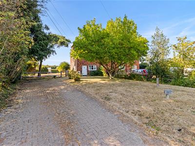 Picture 29